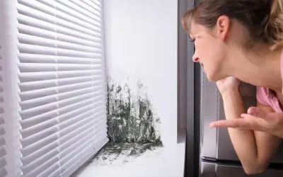 Hidden Health Dangers Lurking in Your Home—And How to Get Rid of Them